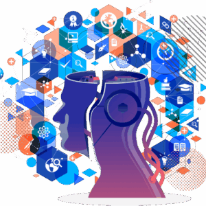 Drake P3 Certification